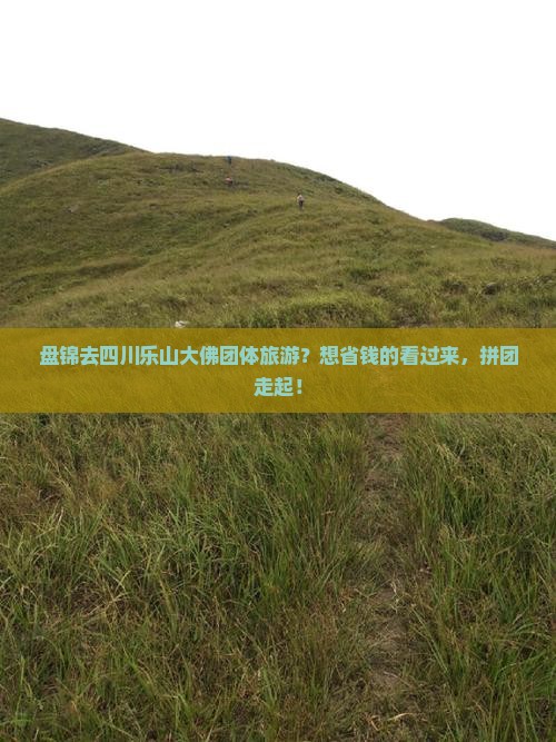 盘锦去四川乐山大佛团体旅游