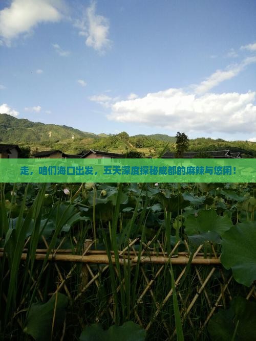 海口去四川成都五日游