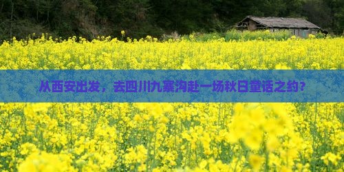 西安去四川九寨沟旅游