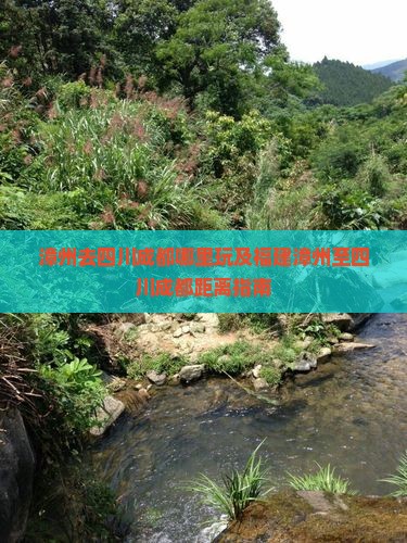 漳州去四川成都哪里玩