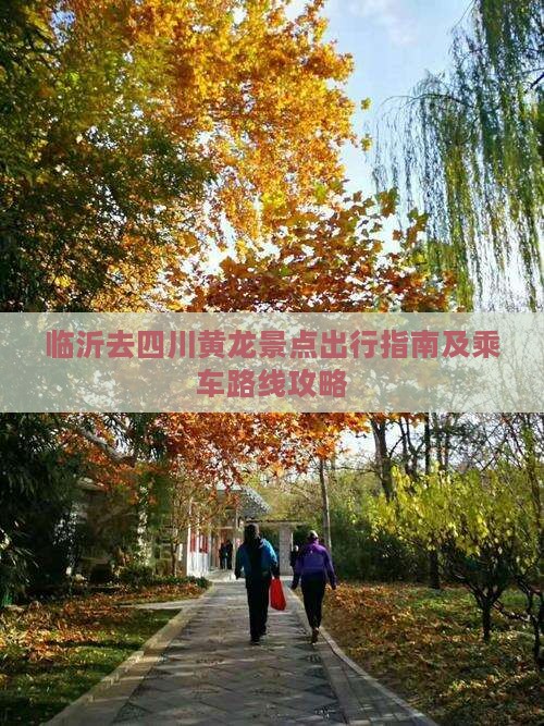 临沂去四川黄龙景点