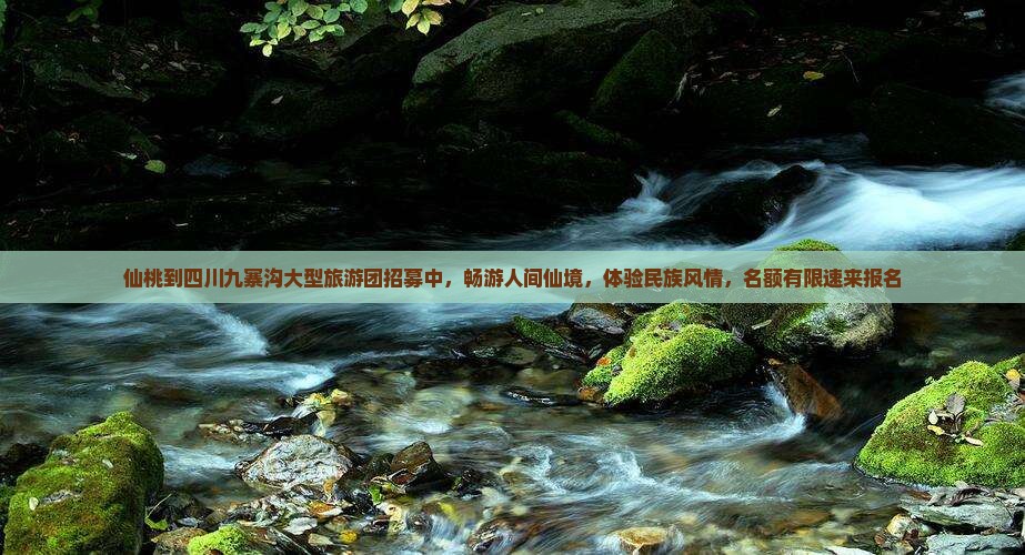 仙桃到四川九寨沟大型旅游团