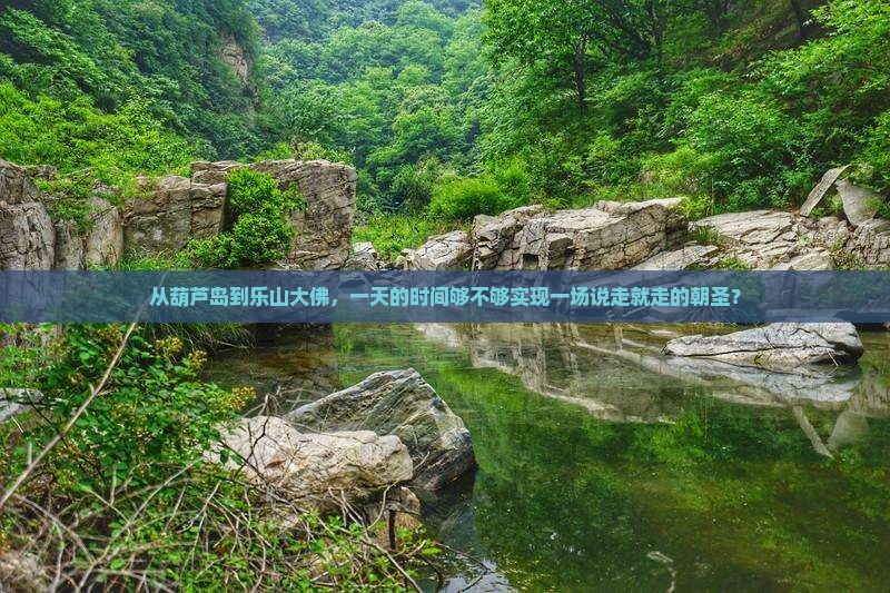 葫芦岛去四川乐山大佛一日