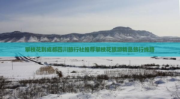攀枝花到四川成都旅行社