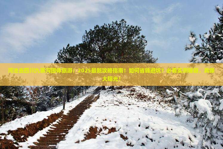 河池去四川九寨沟团体旅游