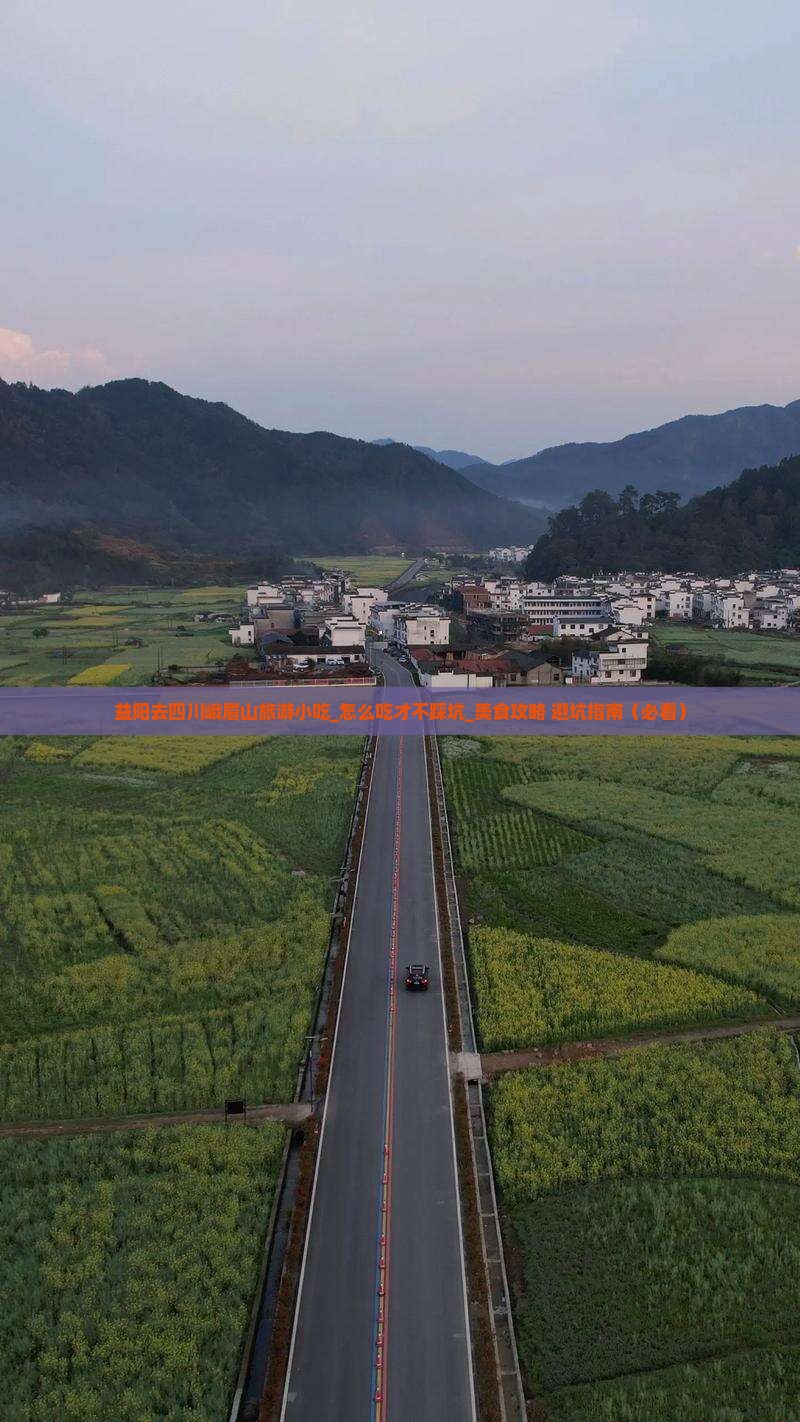 益阳去四川峨眉山旅游小吃