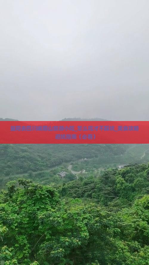 益阳去四川峨眉山旅游小吃