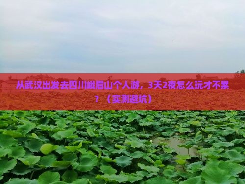 武汉去四川峨眉山个人游