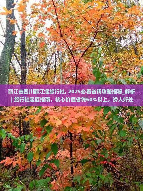 丽江去四川都江堰旅行社