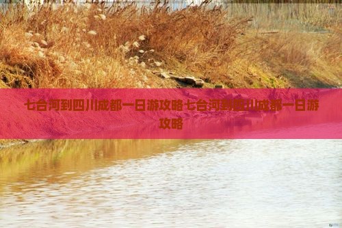 七台河到四川成都一日