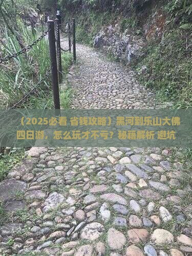 黑河到四川乐山大佛四日游