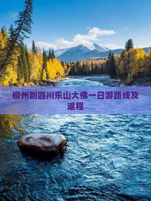 柳州到四川乐山大佛一日 柳州到四川乐山大佛一日