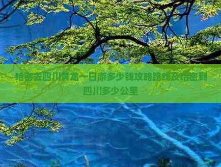 哈密去四川黄龙一日