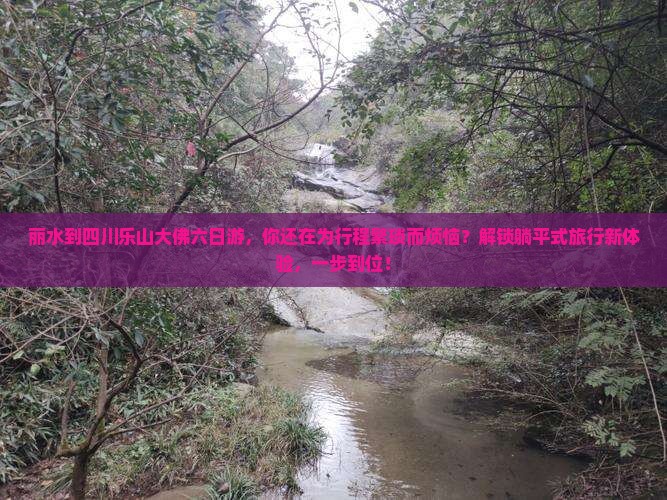 丽水到四川乐山大佛六日游