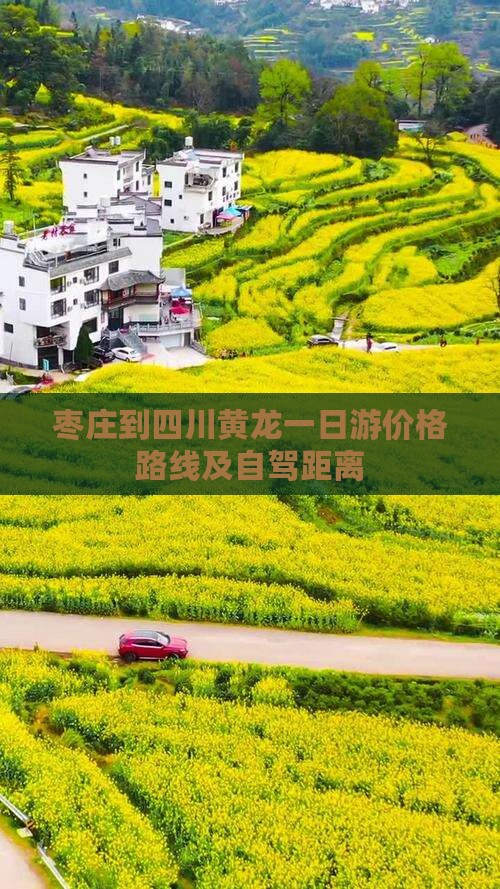 枣庄到四川黄龙一日