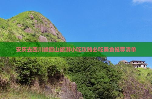 安庆去四川峨眉山旅游小吃