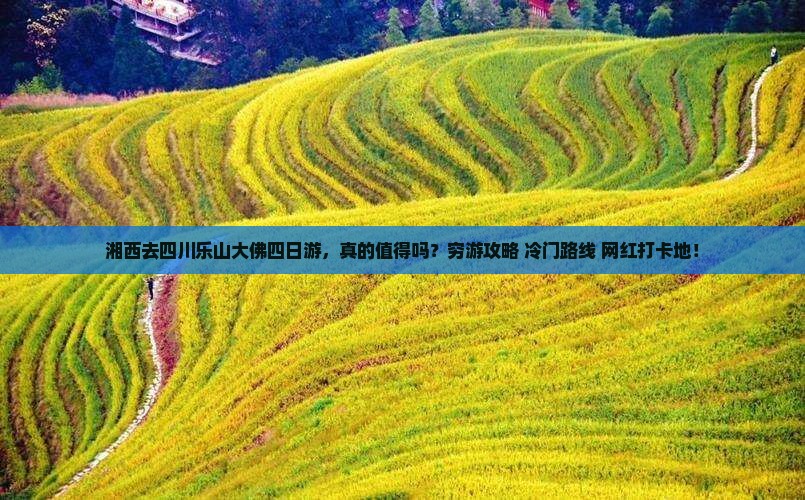 湘西去四川乐山大佛四日游