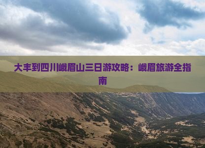 大丰到四川峨眉山三日游
