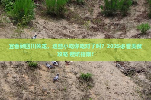 宜春到四川黄龙旅游小吃