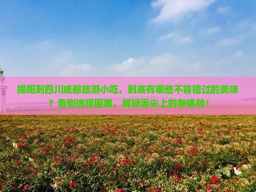揭阳到四川成都旅游小吃