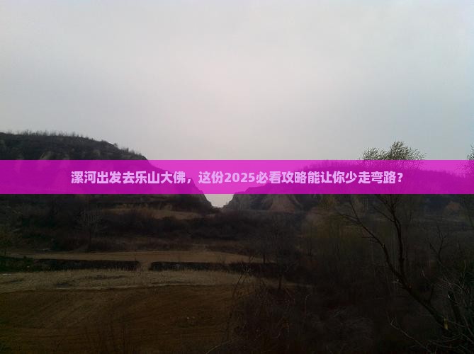 漯河去四川乐山大佛二日游