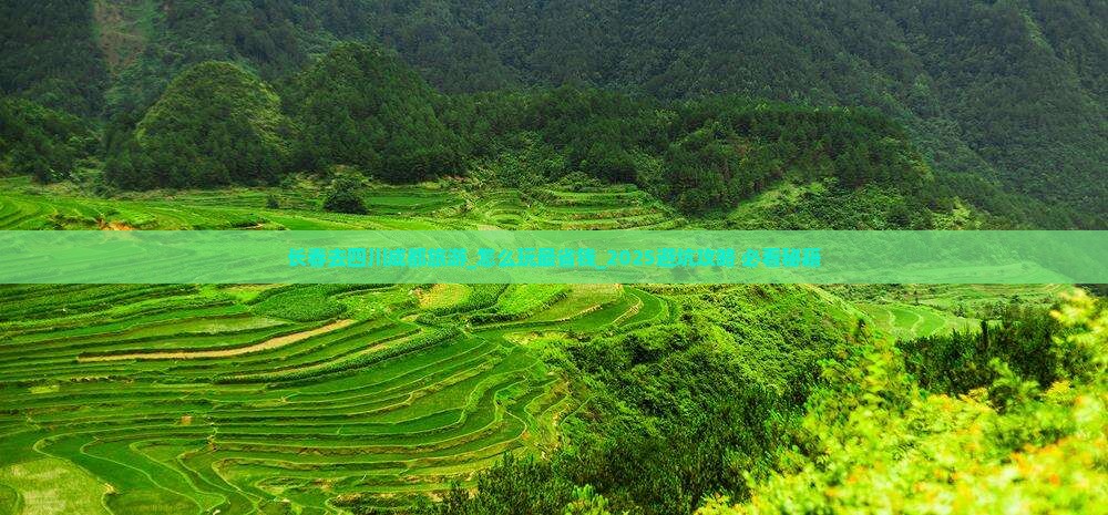 长春去四川成都旅游