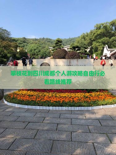 攀枝花到四川成都个人游