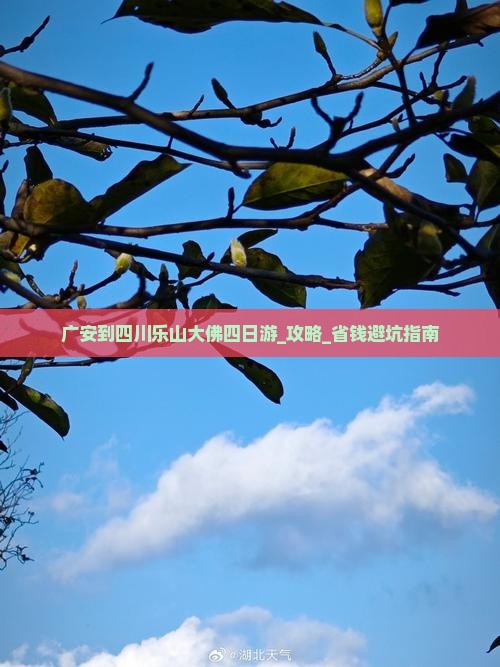 广安到四川乐山大佛四日游