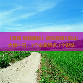 清徐去四川乐山大佛一日