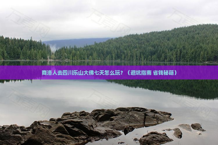 商洛去四川乐山大佛七日游