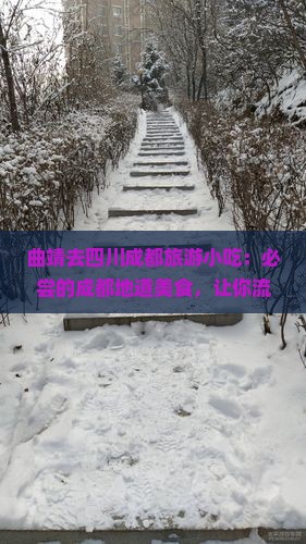 曲靖去四川成都旅游小吃