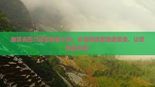 曲靖去四川成都旅游小吃