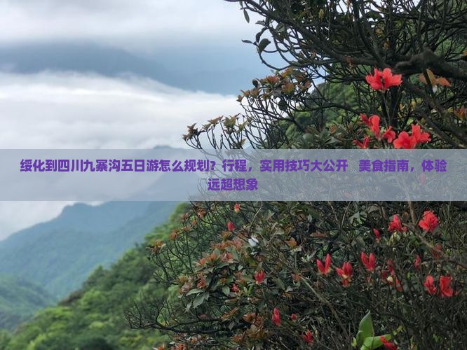 绥化到四川九寨沟五日游