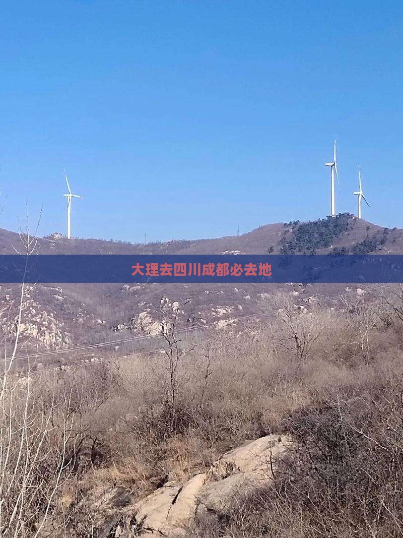 大理去四川成都必去地 大理去四川成都必去地