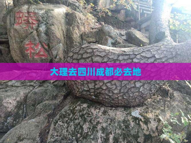 大理去四川成都必去地 大理去四川成都必去地