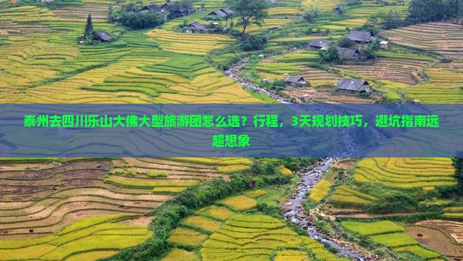 泰州去四川乐山大佛大型旅游团
