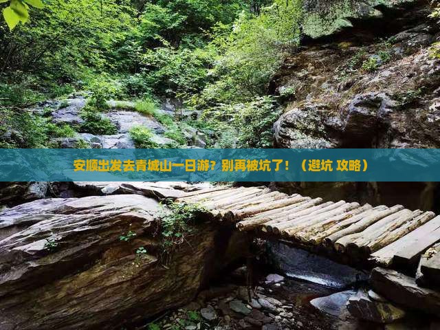 安顺到四川青城山一日