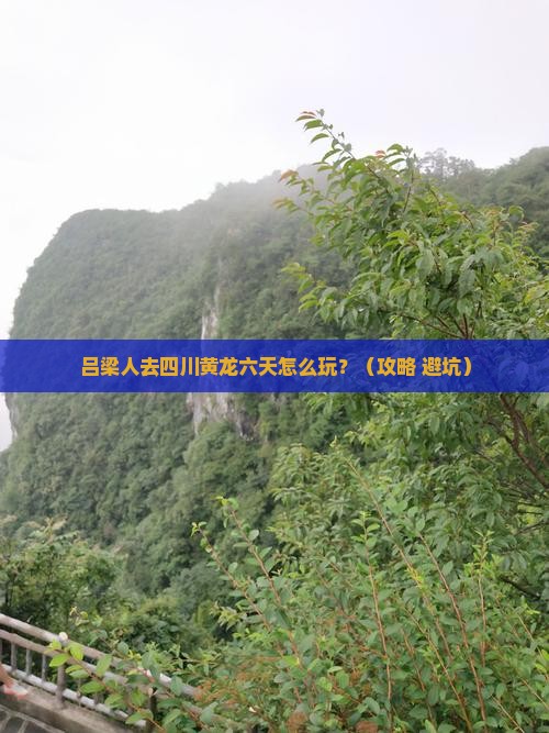 吕梁到四川黄龙六日游