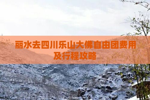 丽水去四川乐山大佛自由团费用及行程攻略