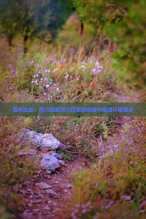 温州出发：四川九寨沟六日旅游攻略与精选行程景点