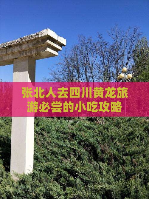 张北人去四川黄龙旅游必尝的小吃攻略