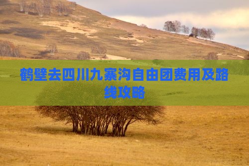 鹤壁去四川九寨沟自由团费用及路线攻略