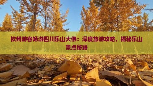 钦州去四川乐山大佛大型旅游团