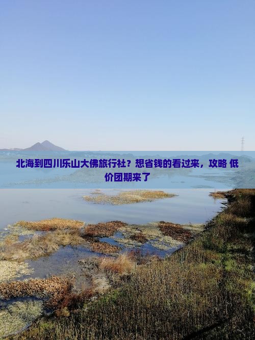 北海到四川乐山大佛旅行社