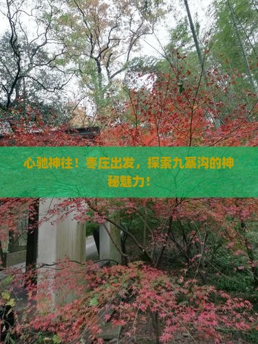 枣庄去四川九寨沟必去地