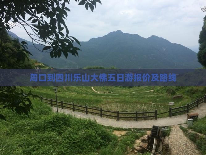 周口到四川乐山大佛五日游