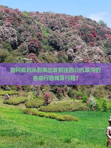 黔南去四川九寨沟自由行