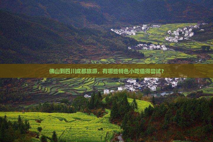 佛山到四川成都旅游小吃