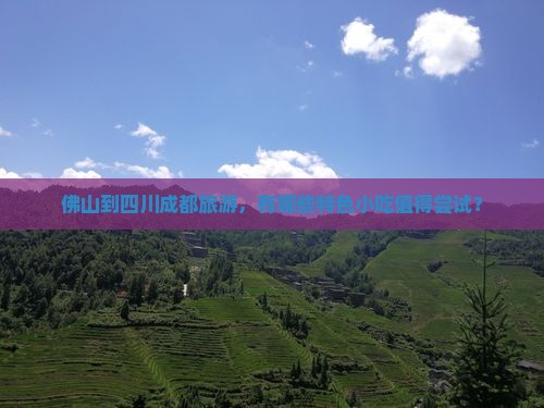 佛山到四川成都旅游小吃