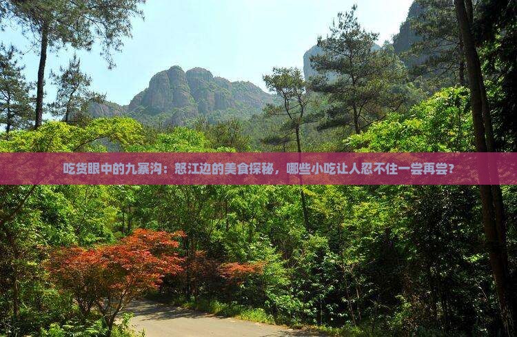 怒江去四川九寨沟旅游小吃